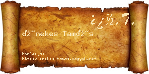 Énekes Tamás névjegykártya